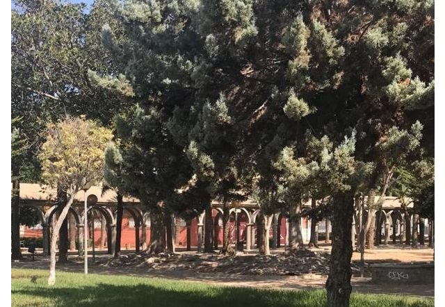 El PSOE de San Javier denuncia la adjudicación de la obra del Parque Almansa a unos empresarios vinculados a la Gürtel