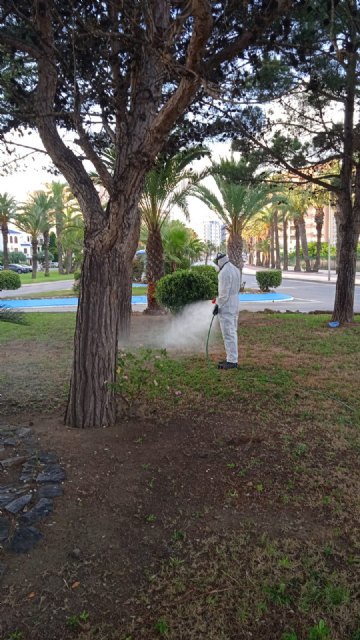 El Ayuntamiento de San Javier intensifica la lucha contra los mosquitos