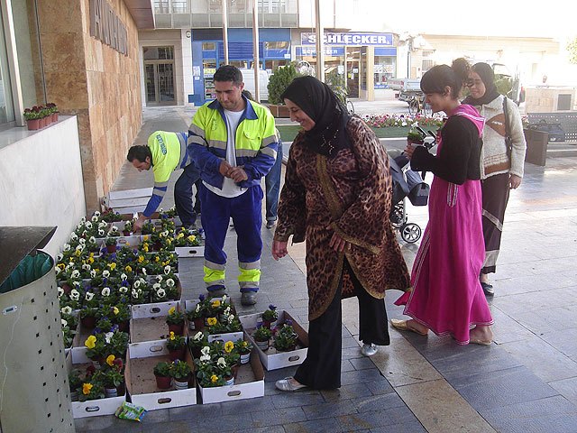 Reparto de plantas