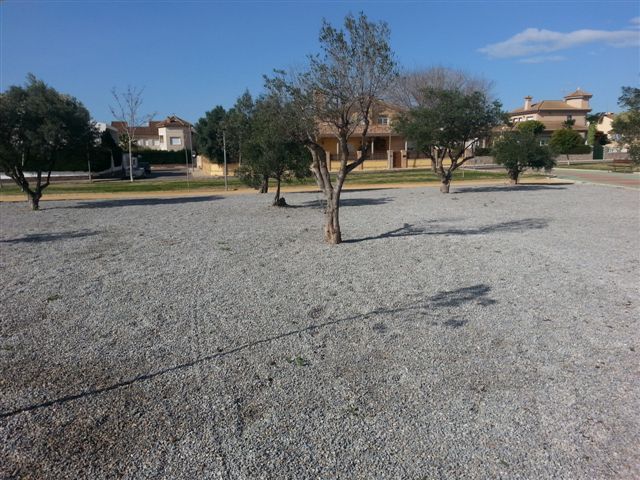 Parques y Jardines planta más de 50 árboles en el acondicionamiento del parque 'José Ruiz Manzanares'