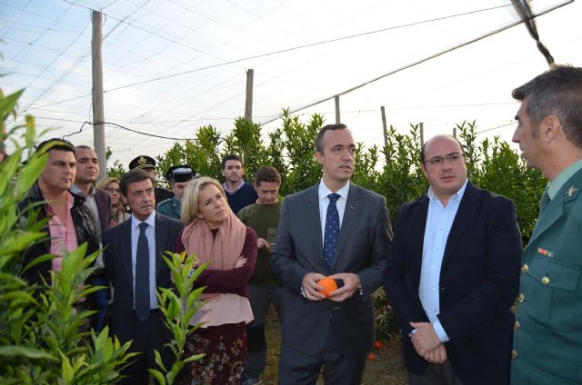 Los robos en las explotaciones agrícolas de la Región de Murcia descienden un 37% desde la puesta en marcha de los grupos ROCA, de la Guardia Civil