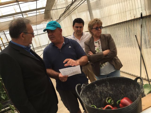 Senadores del PP visitan las instalaciones del Centro de demostración tecnológica y transferencia de El Mirador