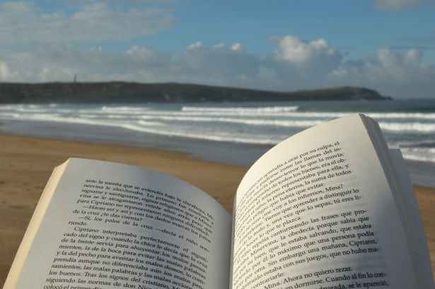 La biblioteca irrumpe en el verano