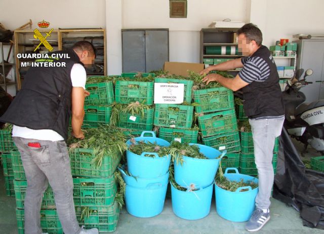 La Guardia Civil desmantela dos invernaderos con 9.000 plantas de marihuana