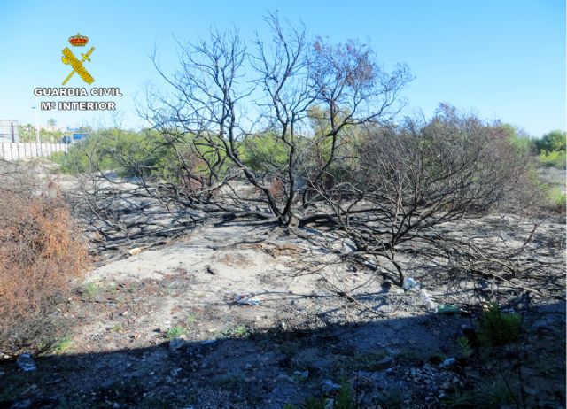 La Guardia Civil detiene a un octogenario como presunto autor de cuatro incendios forestales