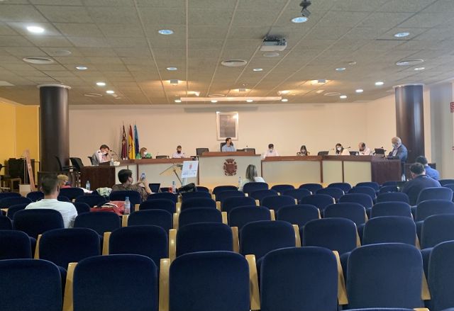 Resumen acuerdos Pleno jueves 9 de julio 2021