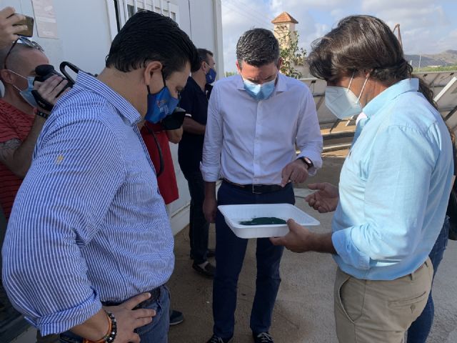 Cultivo de microalgas en San Javier