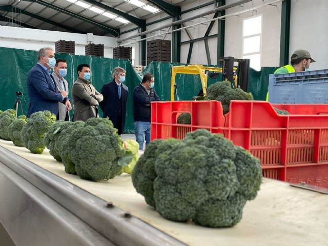 La empresa Bio Organic Mar Menor, de San Javier, amplia sus instalaciones con la línea Financia-Agro, del Gobierno regional