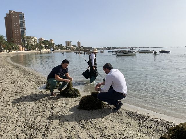 La Comunidad retira más de 10.500 toneladas de biomasa del Mar Menor