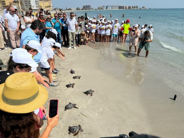 El Gobierno regional libera 30 tortugas bobas en la playa Ensenada del Esparto en La Manga