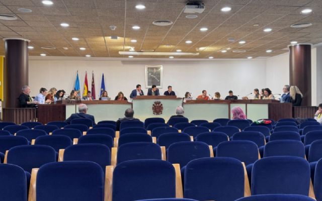 Resumen acuerdos adoptados por el pleno de febrero 2026