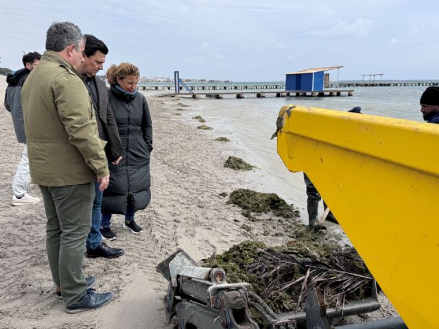 El alcalde agradece las labores de retirada de biomasa del Mar Menor y exige al Estado que actúe en la rambla del Albujón