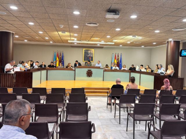 Resumen acuerdos adoptados por el pleno de julio