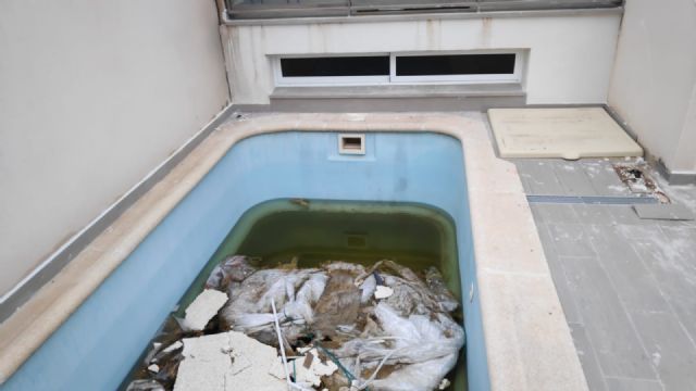 El Ayuntamiento mantiene los tratamientos contra la plaga del mosquito tigre que baja de intensidad