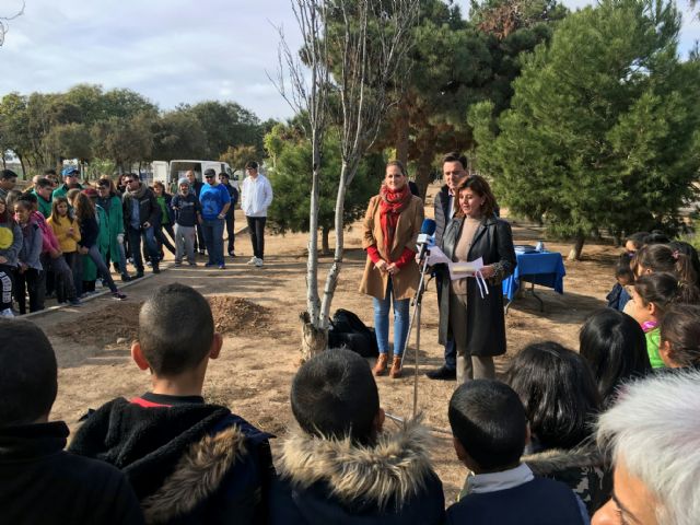 Colegios y asociaciones participan en una plantación de árboles a los que dan su nombre