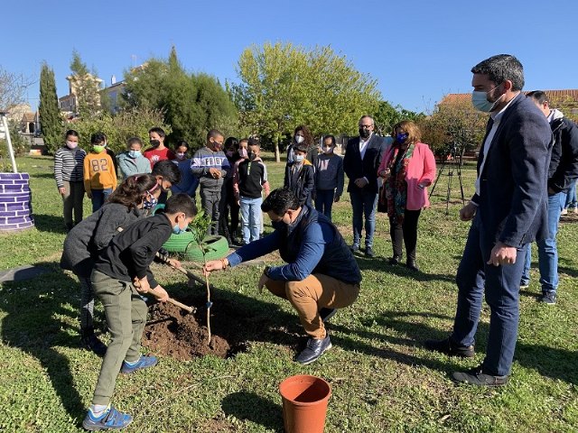 El consejero, Antonio Luengo y el alcalde, José MIguel Luengo asisten a una plantación de árboles en el CEIP Sevecho Ochoa, de San Javier