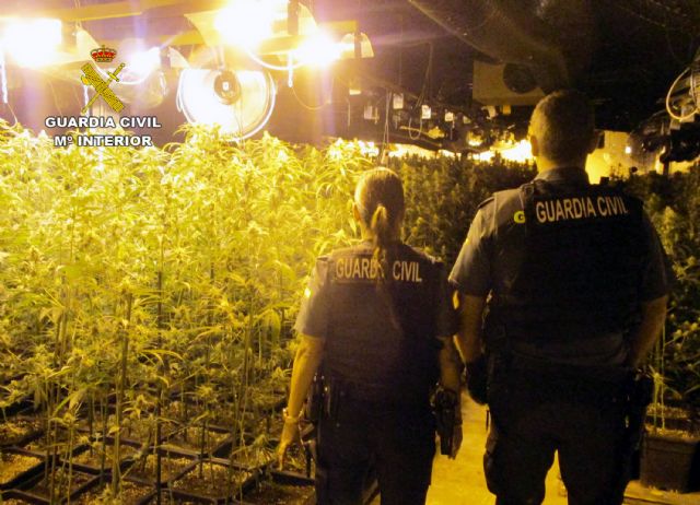 La Guardia Civil desmantela un invernadero con más de 2.000 plantas de marihuana en una nave industrial de San Javier