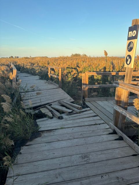 PLEAMAR exige un plan real para La Hita y recuerda que las administraciones han tenido un año para actuar