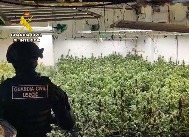 La Guardia Civil desarticula un clan familiar dedicado al cultivo y elaboración de marihuana