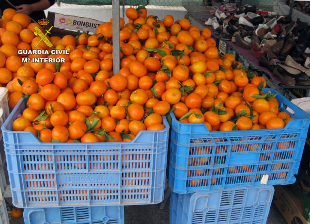 La Guardia Civil detiene a cuatro personas por la sustracción de quince toneladas de mandarinas