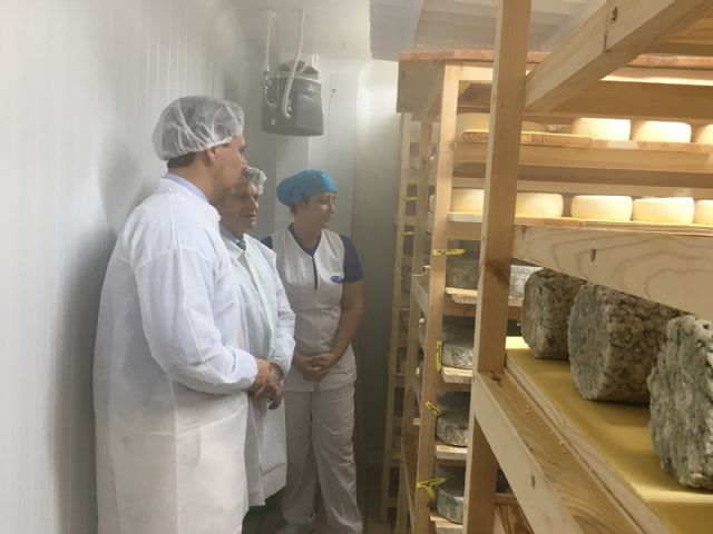 La primera quesería del municipio se prepara para comercializar sus quesos ecológicos de oveja