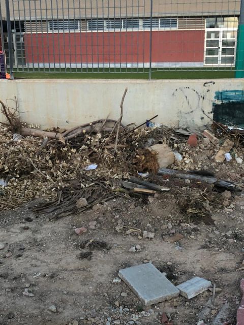 El PSOE de San Javier denuncia que 'hay plagas de ratas por todo el municipio' y pide soluciones urgentes