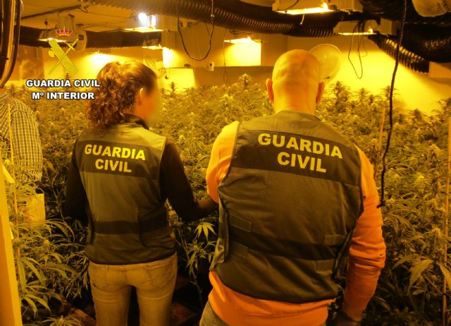La Guardia Civil desarticula en San Javier un grupo delictivo dedicado al cultivo ilícito de marihuana