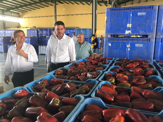 Antonio Luengo visita las instalaciones del mercado agrícola de San Javier