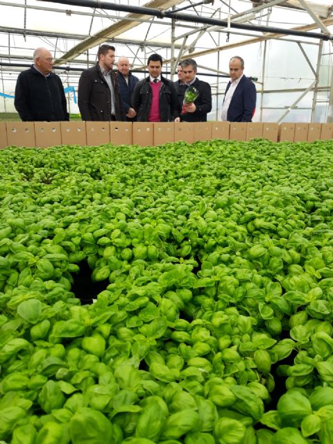 Agricultura reconoce una nueva organización de productores hortofrutícolas en San Javier